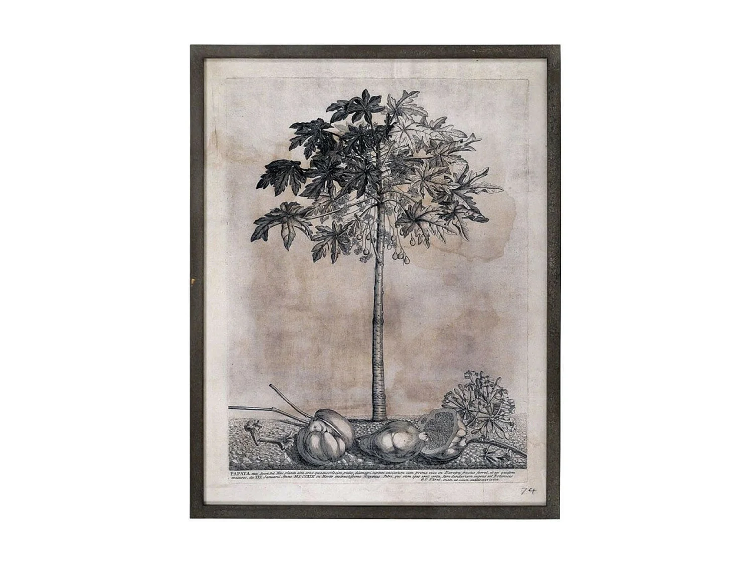 Tableau décoratif imprimé arbre 82x105 Bois Gris - Voyage Interior's