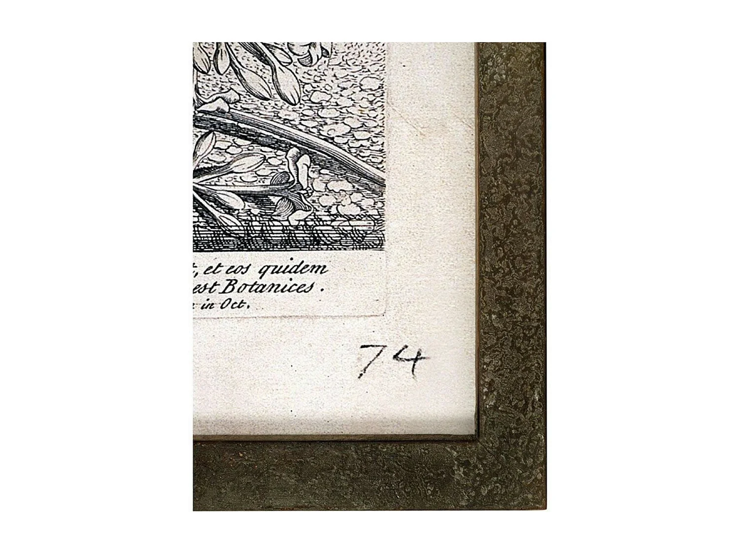 Tableau décoratif imprimé arbre 82x105 Bois Gris - Voyage Interior's