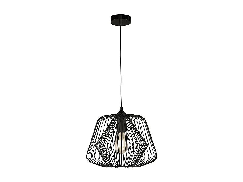 Searchlicht Bell Cage - 1 licht Cage Anhänger Matt Black, E27
