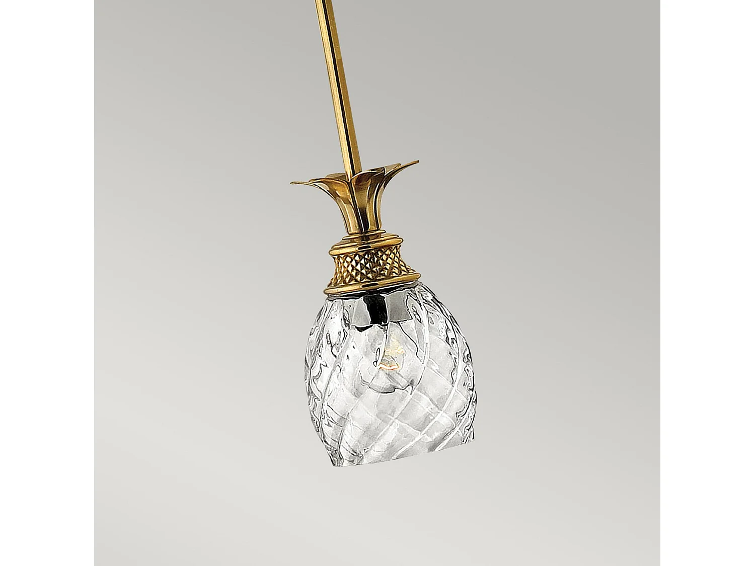 Sospensione Contemporanea Plantation Ottone Bronzo Brunito Vetro 1 Luce E27