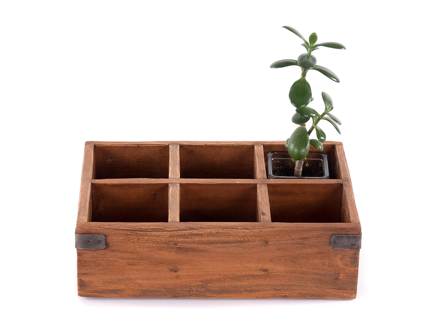 STIFTEHALTER-BOX Largo Mahagoni Recyclingholz massiv, 6 Fächer naturfarben