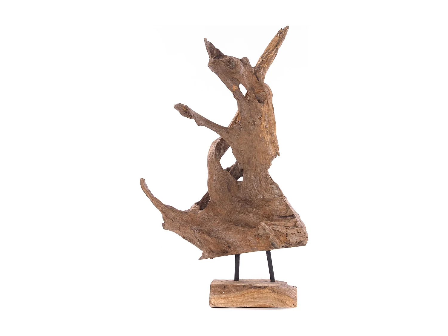 SCULPTURE RACINES 40 Racine bois flotté unique couleurs naturelles