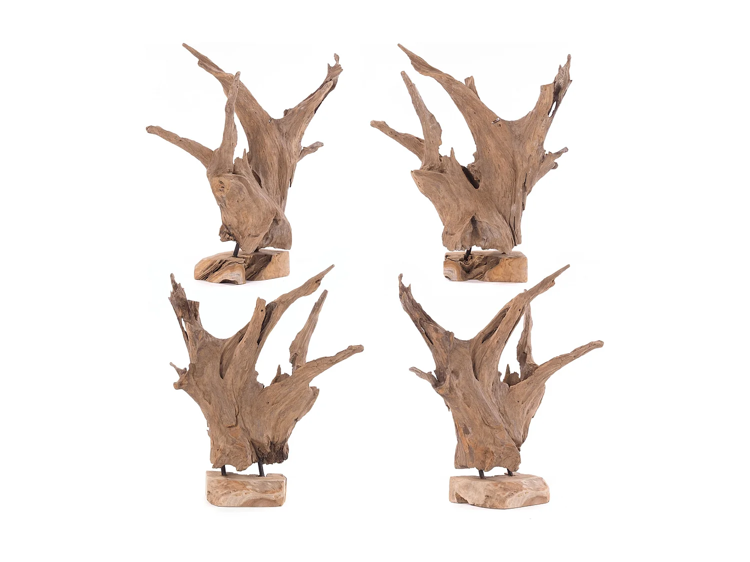 SCULPTURE RACINES 40 Racine bois flotté unique couleurs naturelles