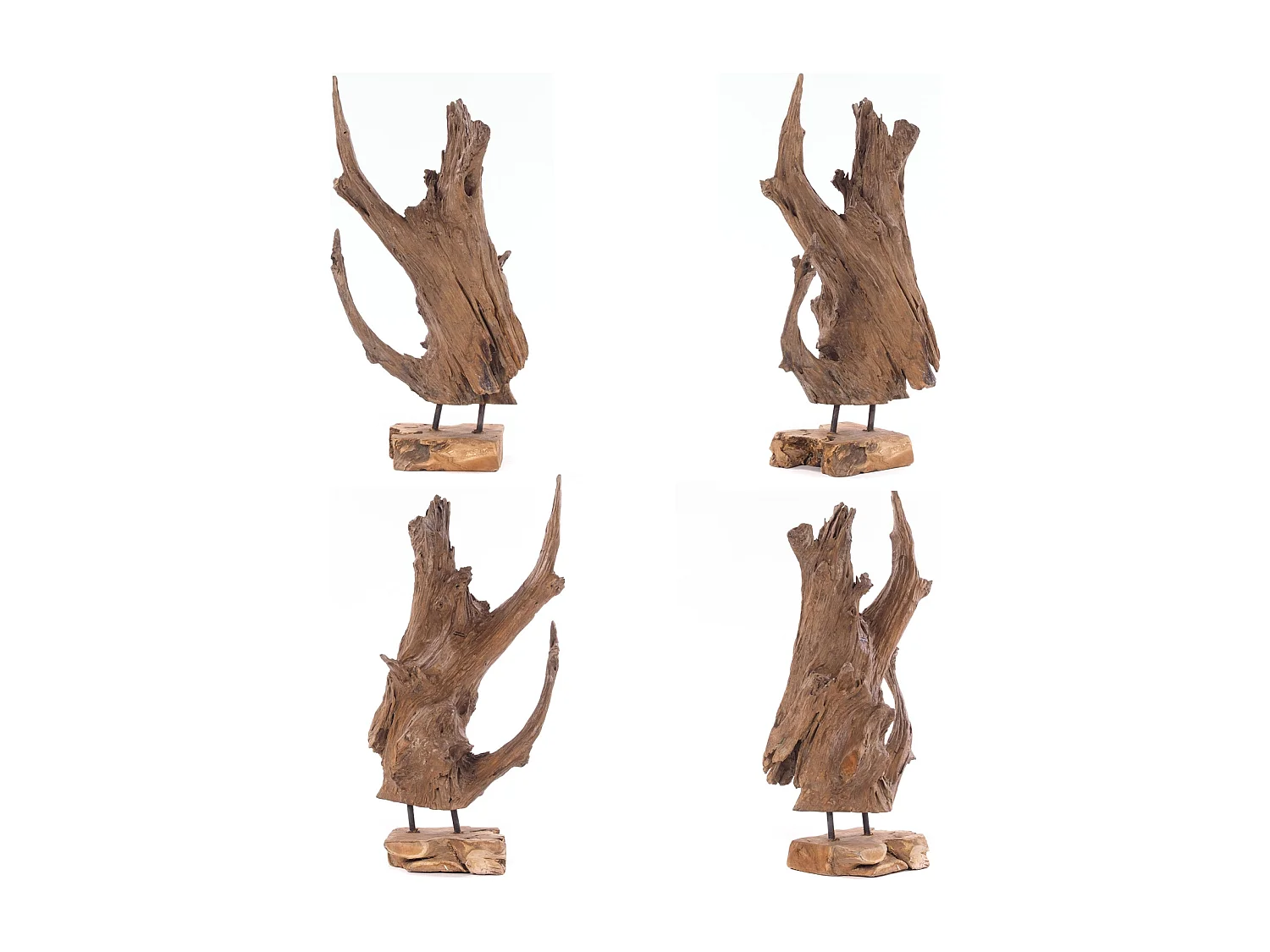 SCULPTURE RACINES 40 Racine bois flotté unique couleurs naturelles