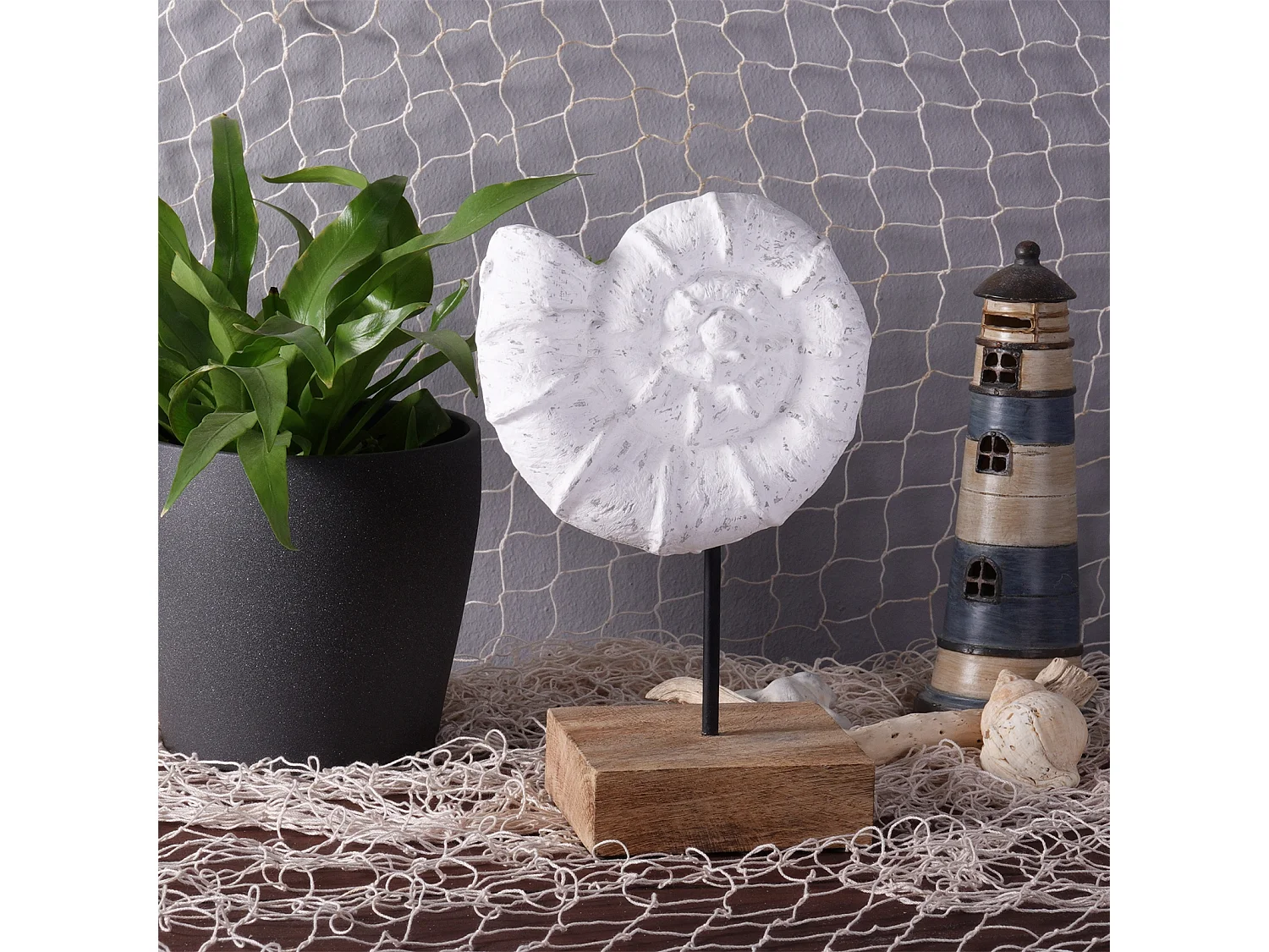 SKULPTUR MUSCHEL Shell Mangoholz-Sockel weiß-natur