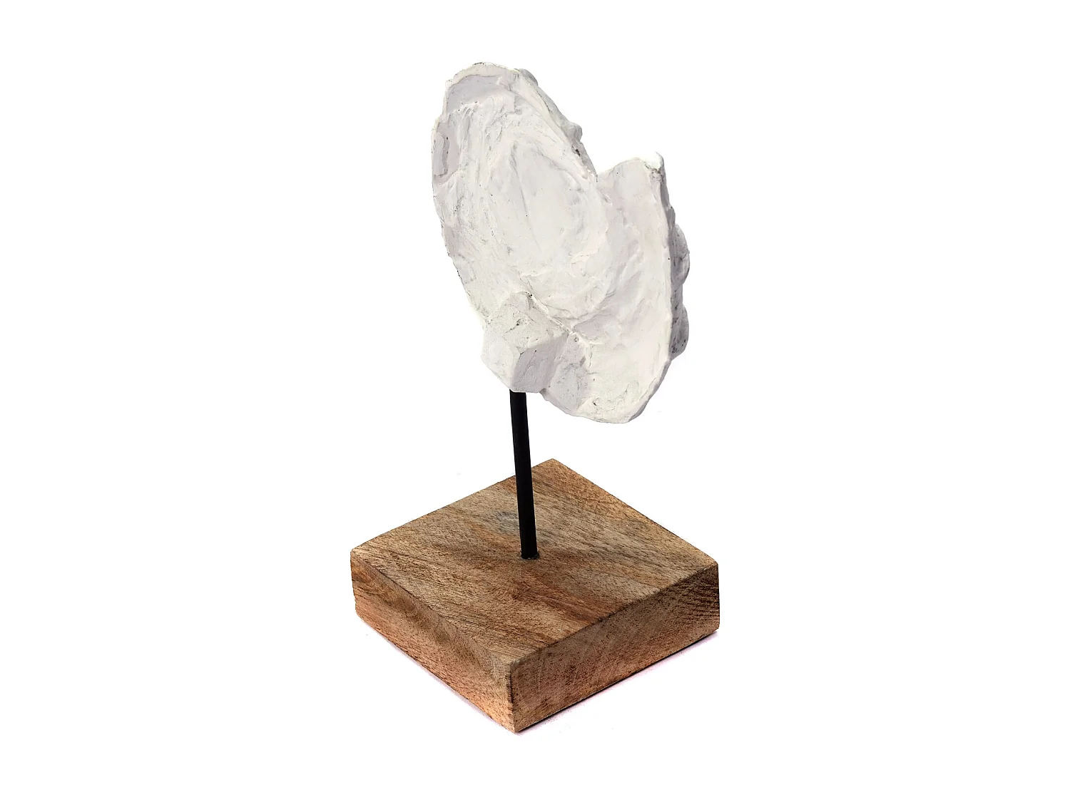 SKULPTUR MUSCHEL Shell Mangoholz-Sockel weiß-natur