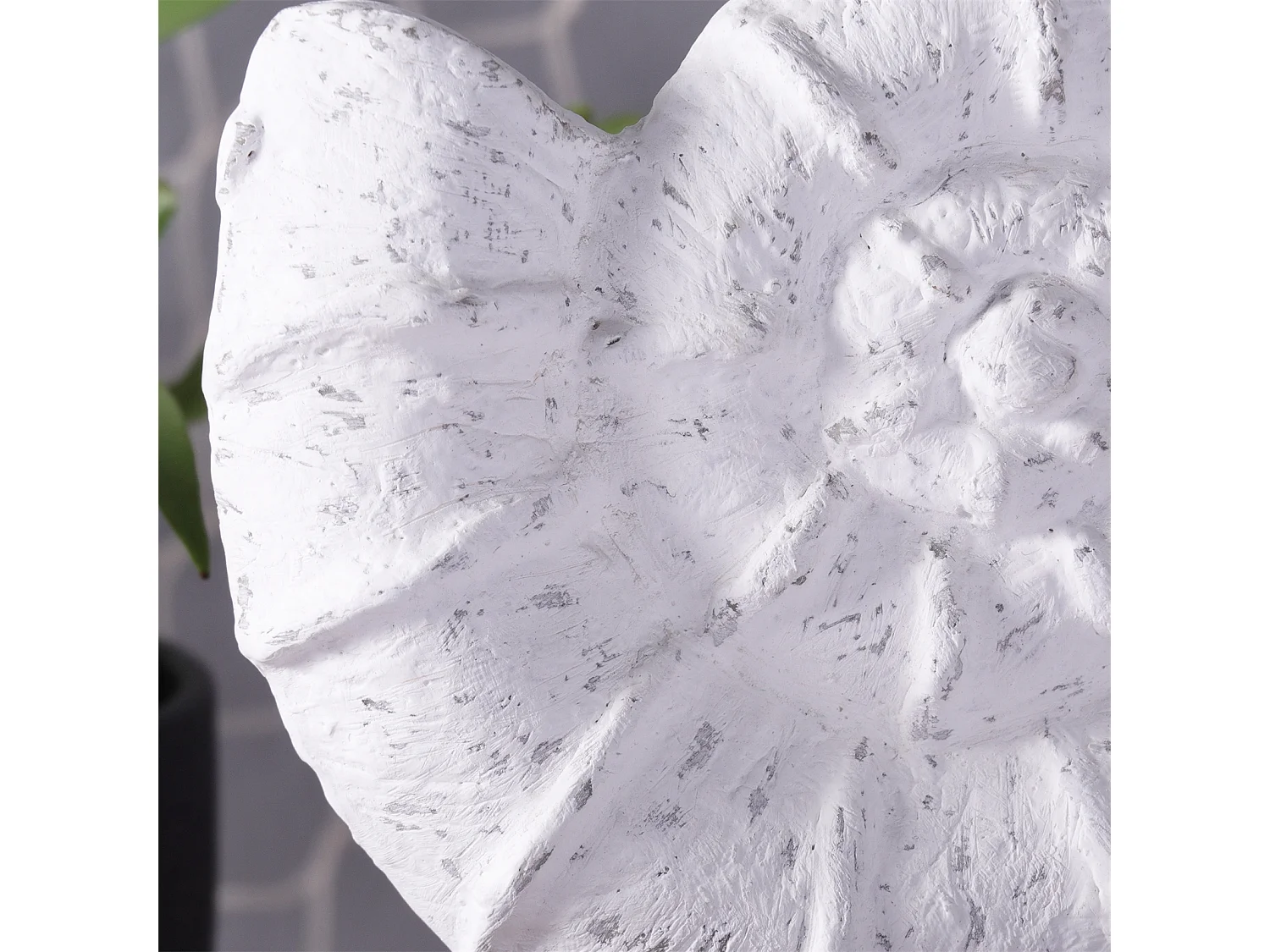 SKULPTUR MUSCHEL Shell Mangoholz-Sockel weiß-natur