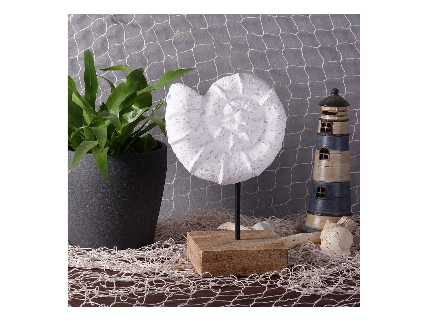 SCULPTURE Coquillage Socle en bois de mangue blanc-naturel