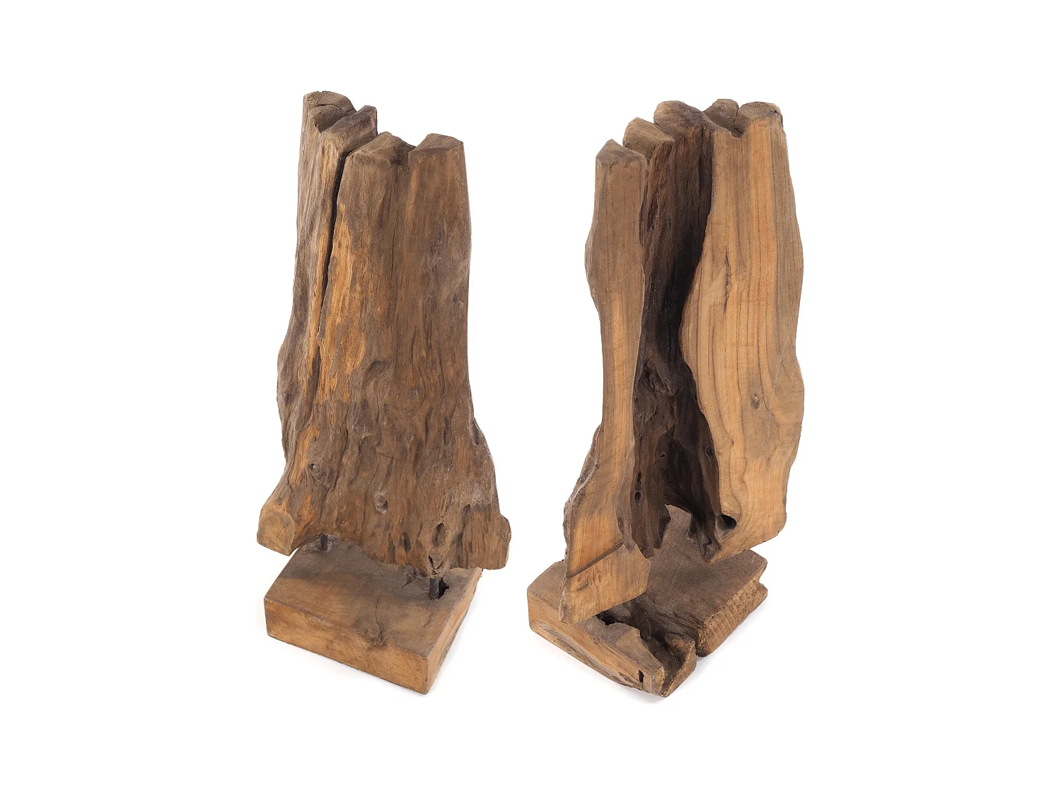 SCULPTURE RACINES 80 Racine bois flotté unique couleurs naturelles