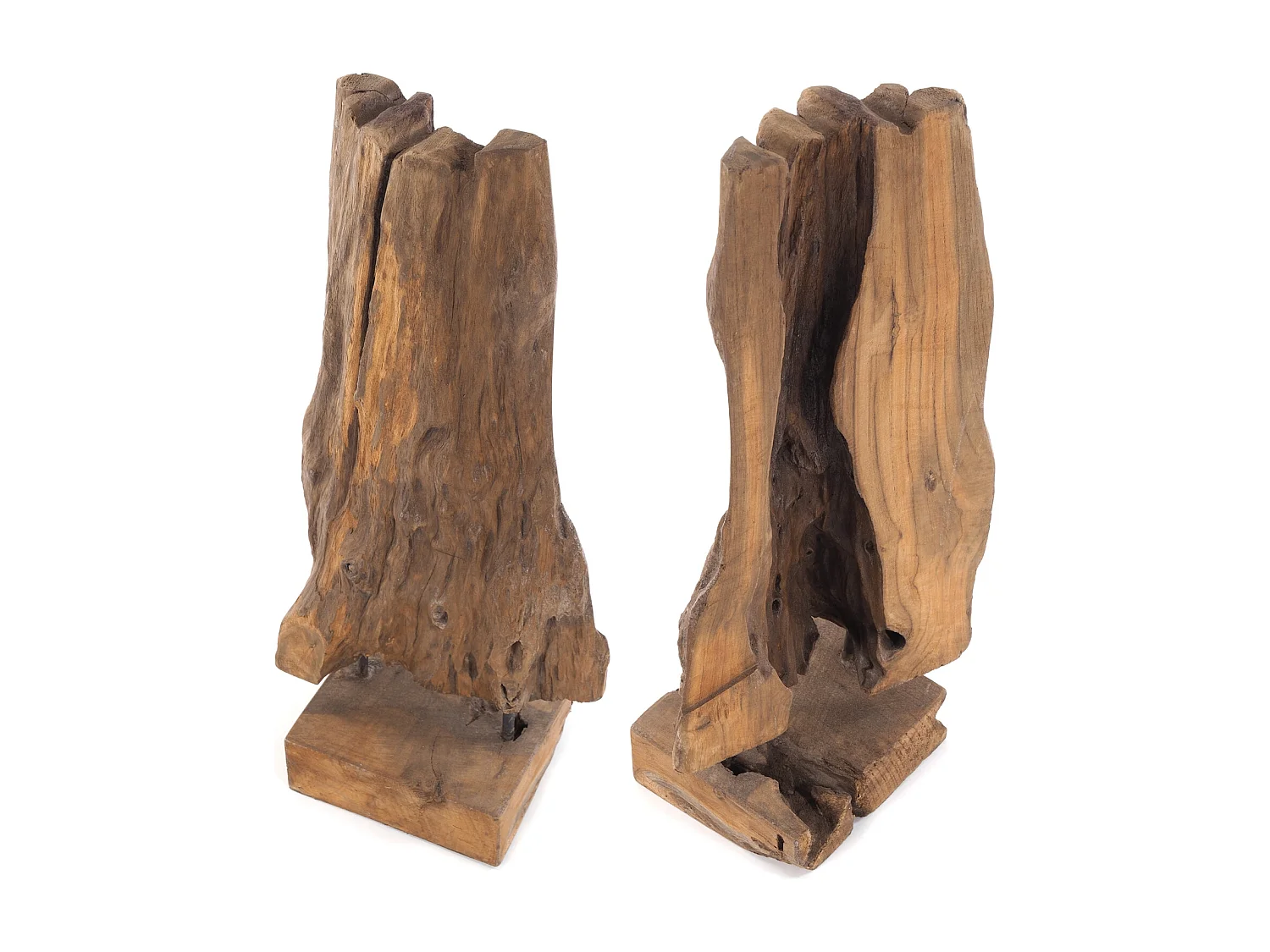 SCULPTURE RACINES 80 Racine bois flotté unique couleurs naturelles