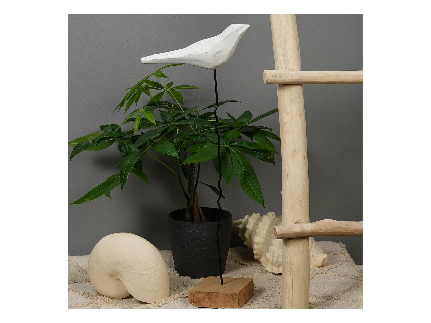 SCULPTURE VOGEL Kikki 56 Socle en bois de mangue blanc-nature