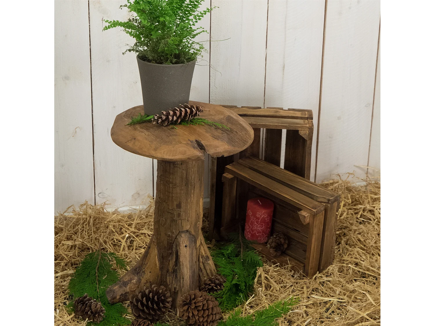 HOCKER Mushroom Teak Wurzelholz massiv naturfarben