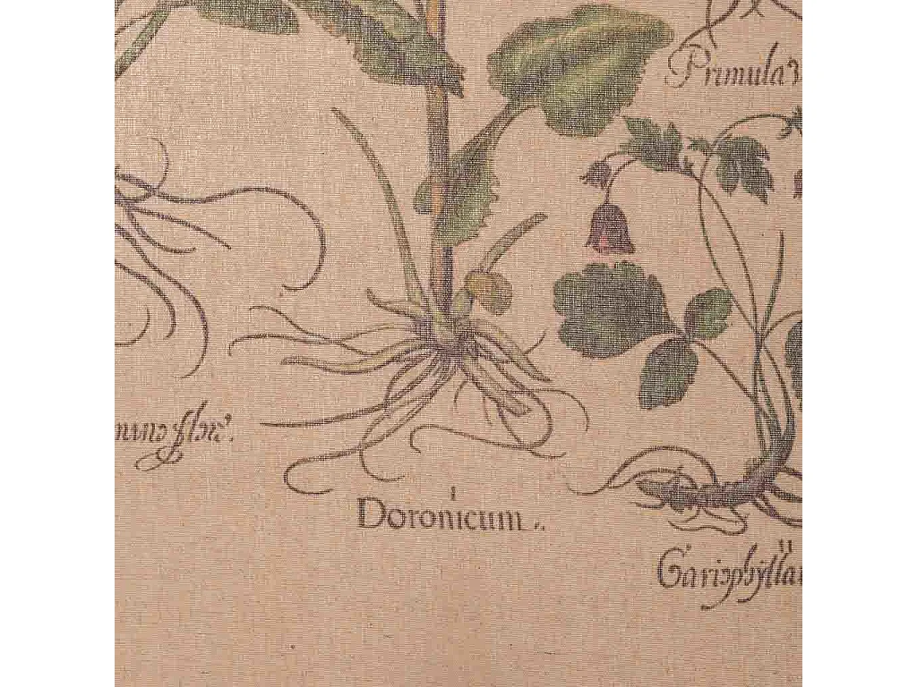 Toile de lin imprimée en parchemin