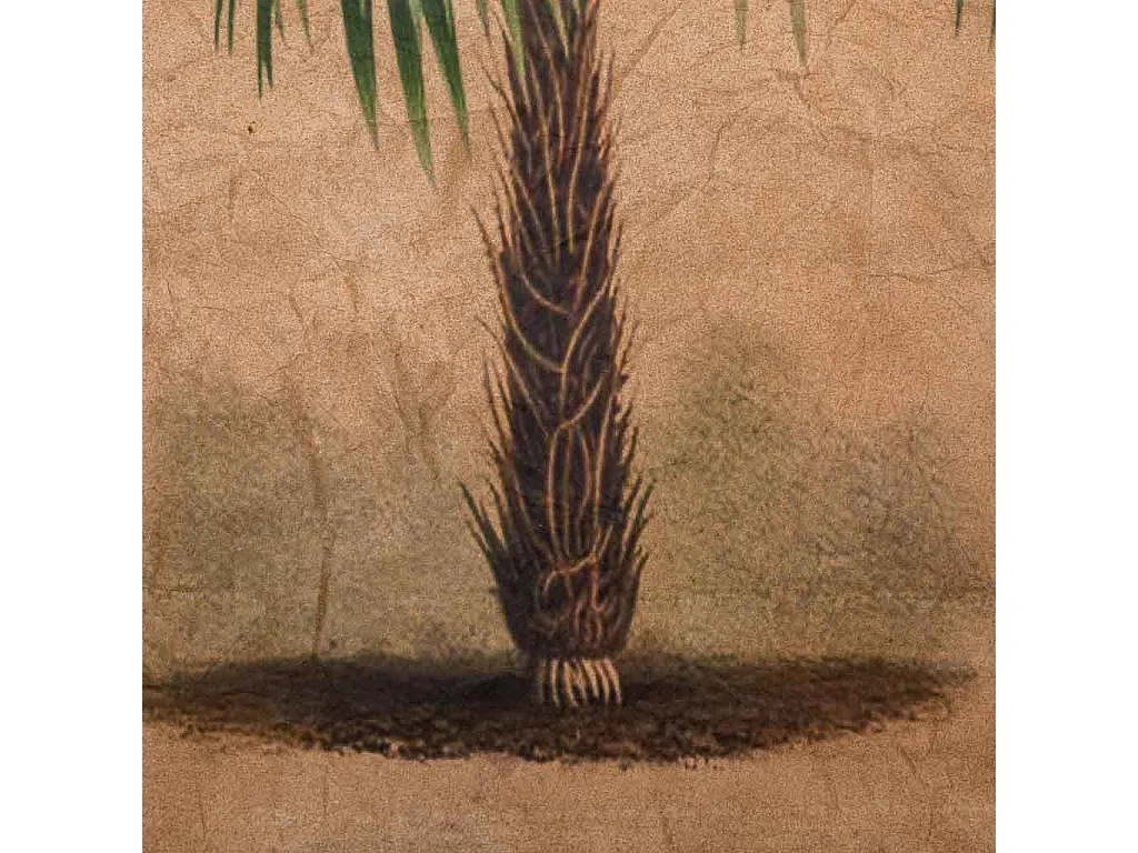 Toile imprimée en parchemin