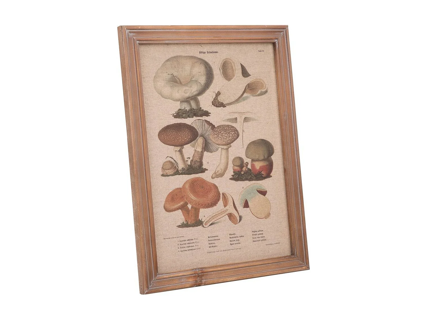 Rahmen aus Holz und Stoff