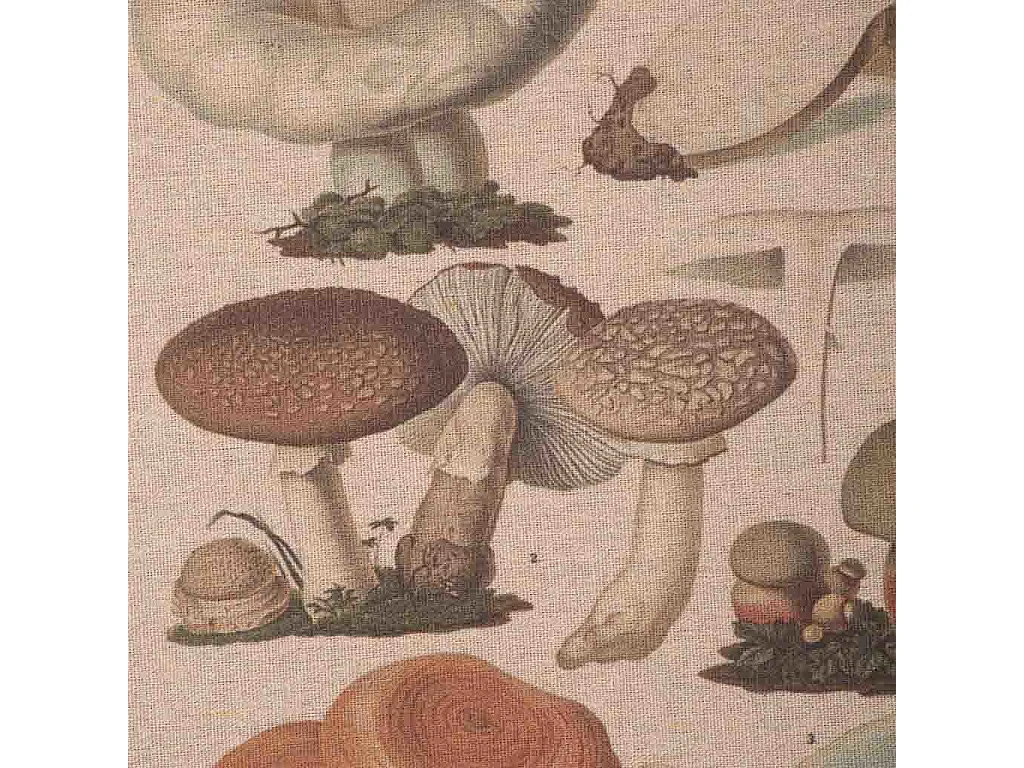 Rahmen aus Holz und Stoff