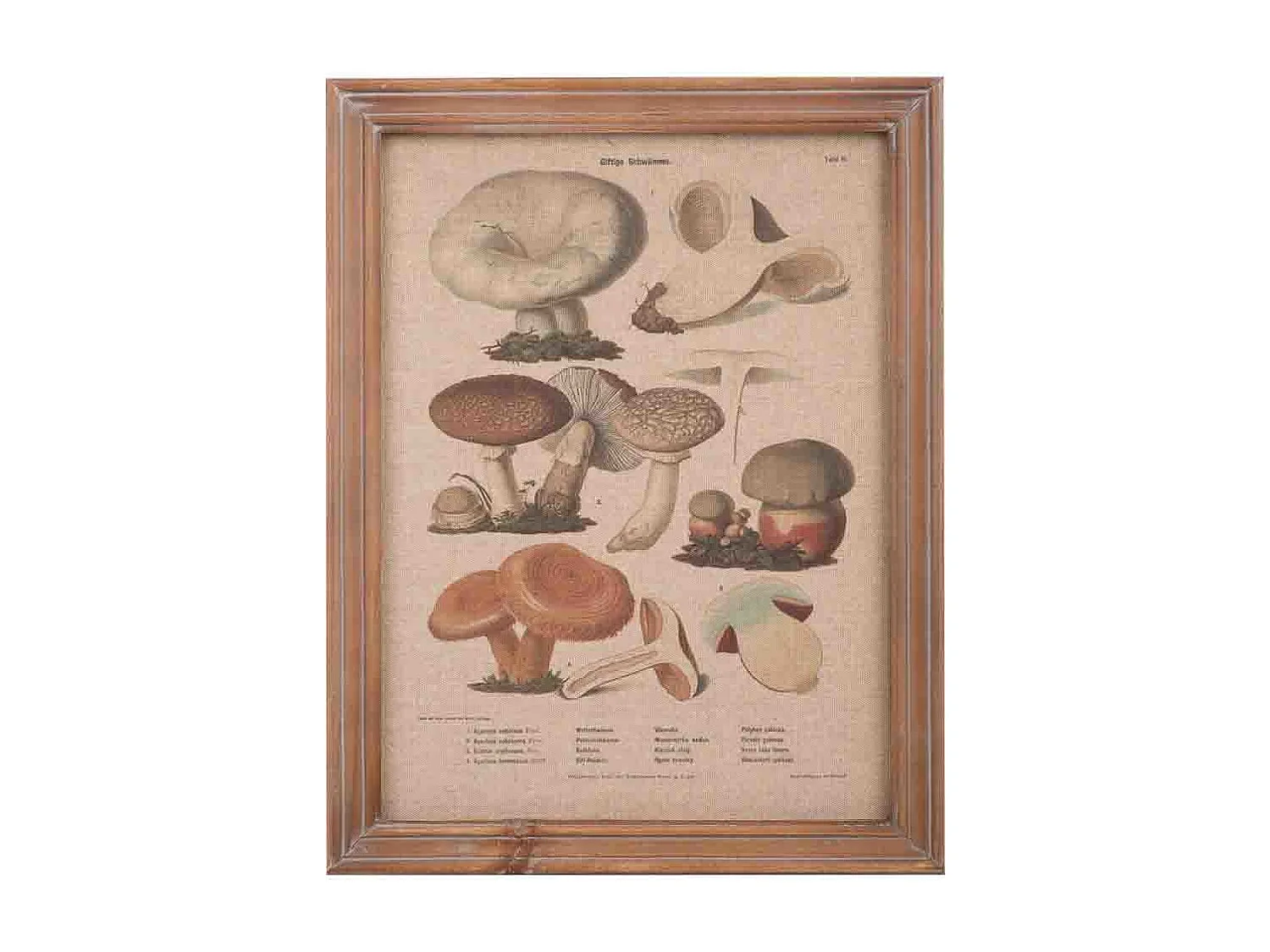 Rahmen aus Holz und Stoff