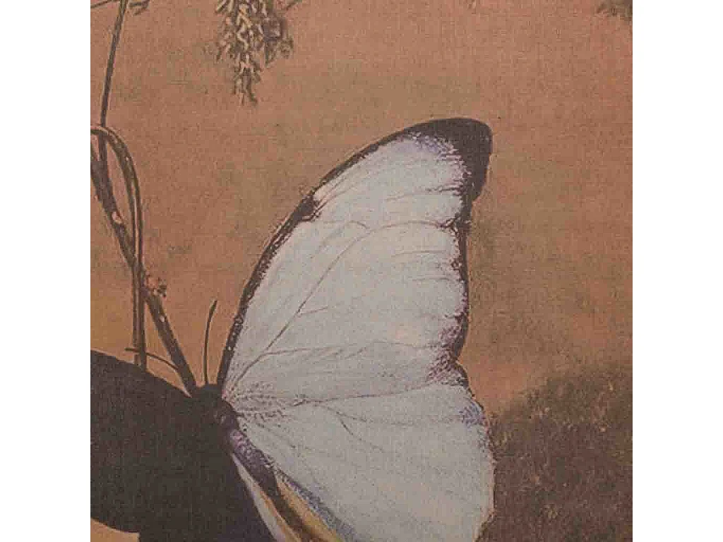 Lona de linho impressa em pergaminho