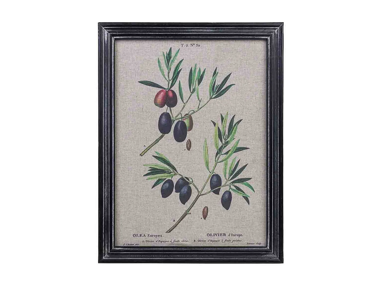 Quadro in tela stampata con cornice in legno, 33x43x1,8