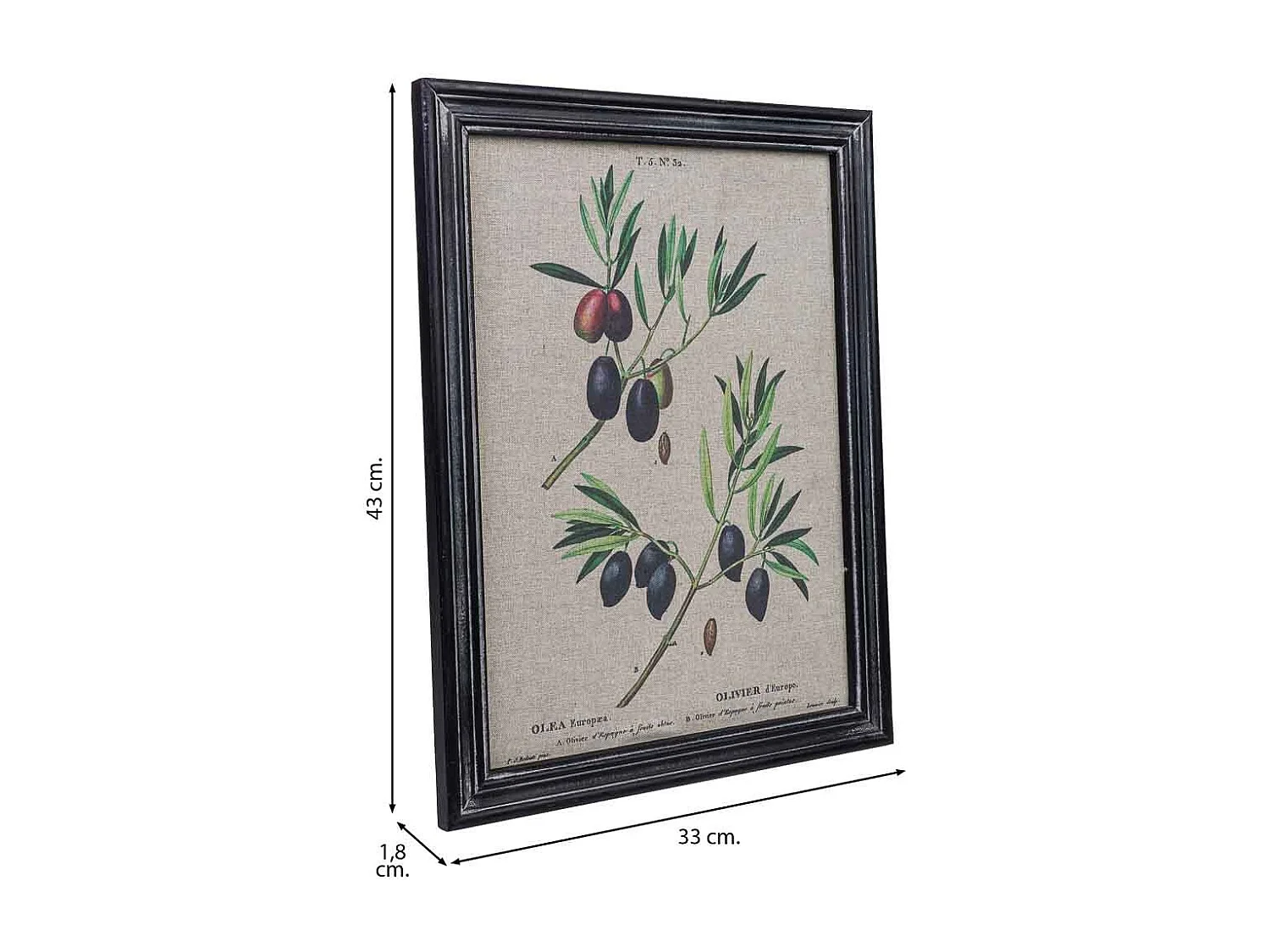 Quadro in tela stampata con cornice in legno, 33x43x1,8