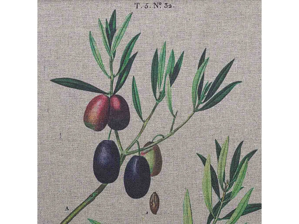 Quadro in tela stampata con cornice in legno, 33x43x1,8