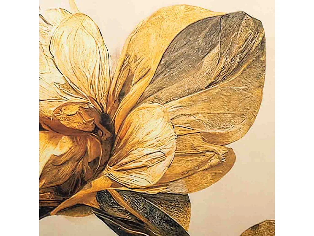 Tela stampata in pergamena