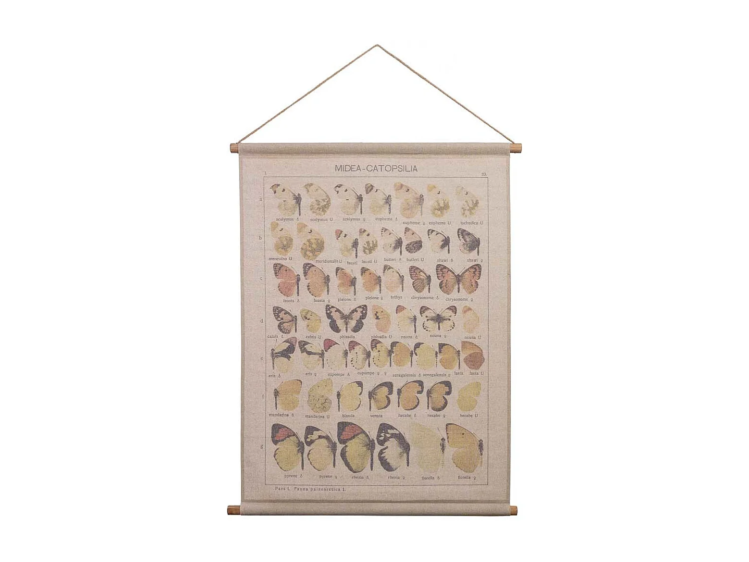 Bedruckte Stoff-Pergamentleinwand