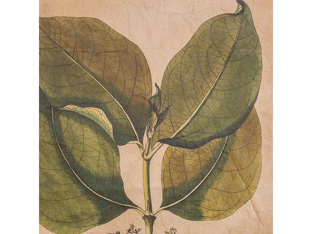 Lienzo pergamino de tela impresa 44x73x2,5