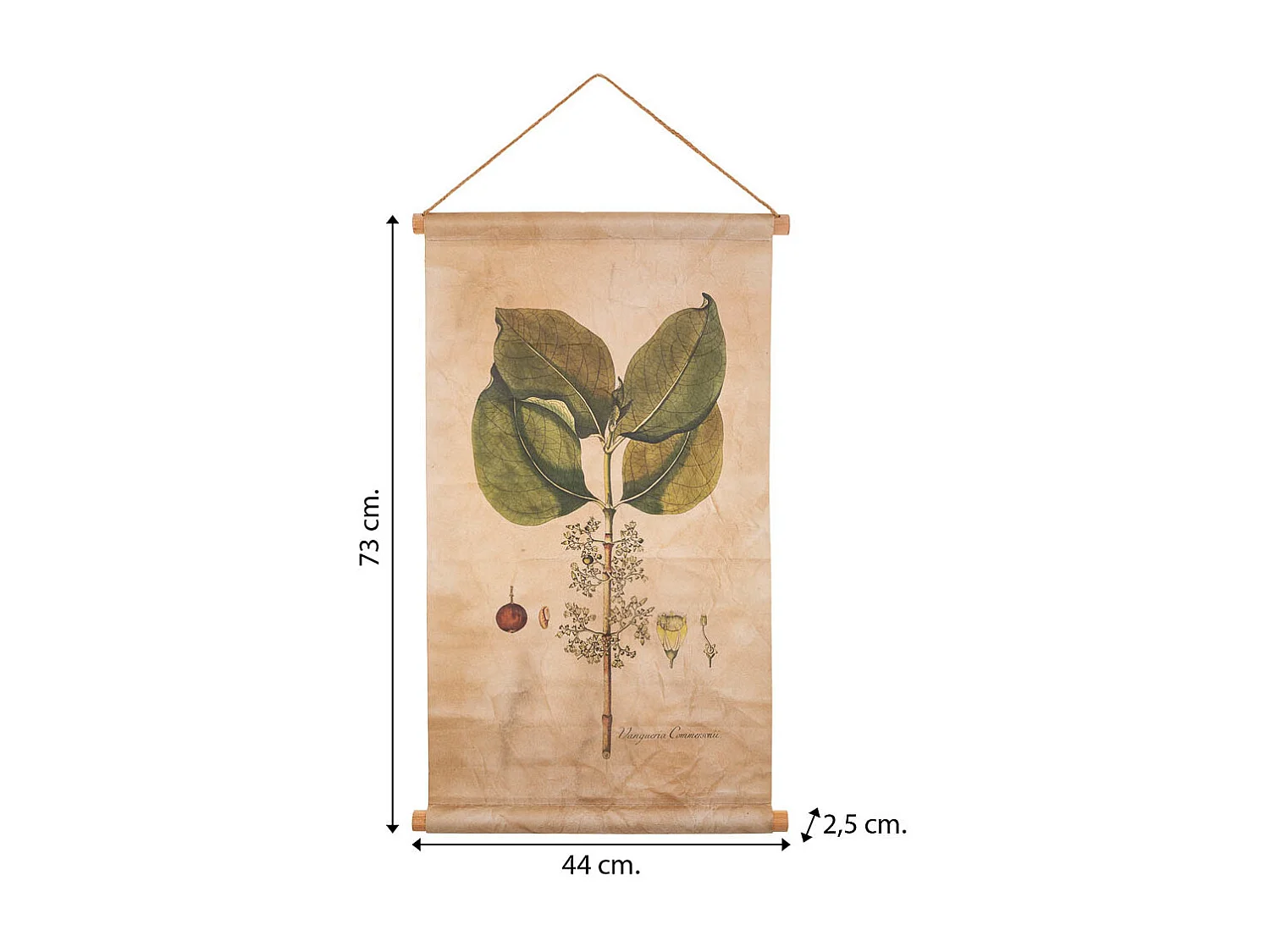Lienzo pergamino de tela impresa 44x73x2,5
