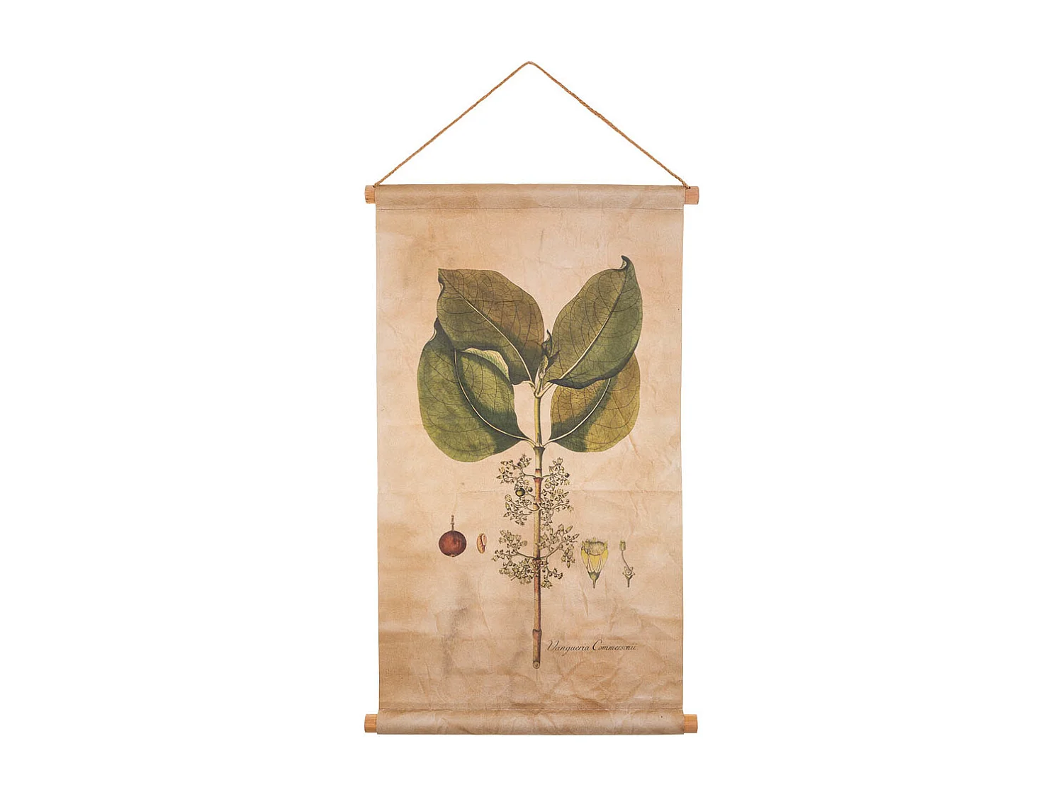 Lienzo pergamino de tela impresa 44x73x2,5