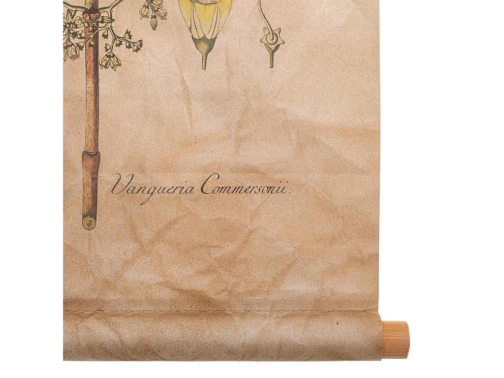 Lienzo pergamino de tela impresa 44x73x2,5