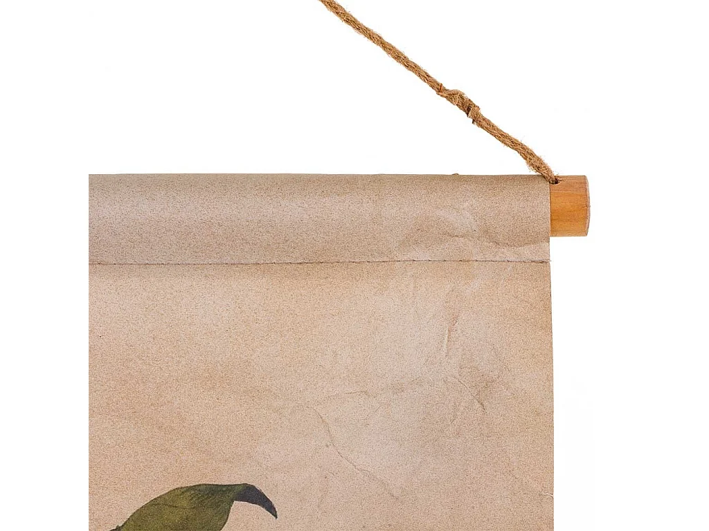 Lienzo pergamino de tela impresa 44x73x2,5