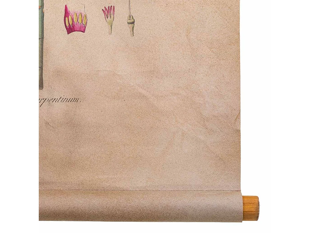 Lienzo pergamino de tela impresa 44x73x2,5