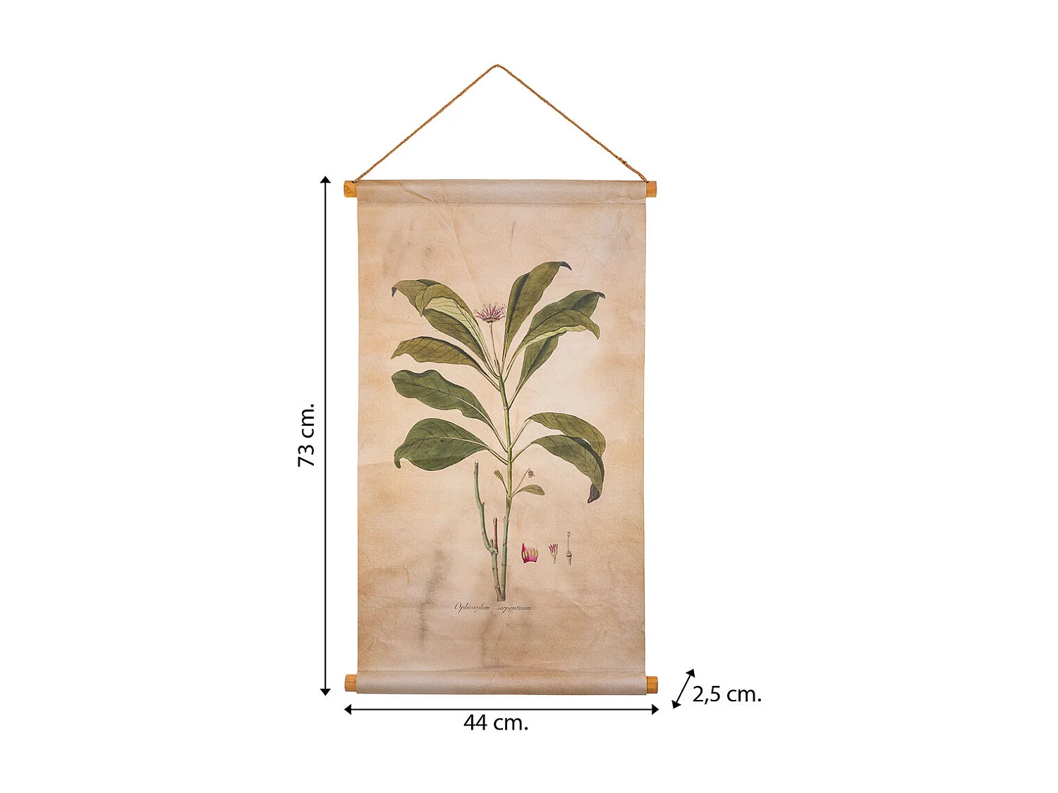 Toile imprimée en parchemin