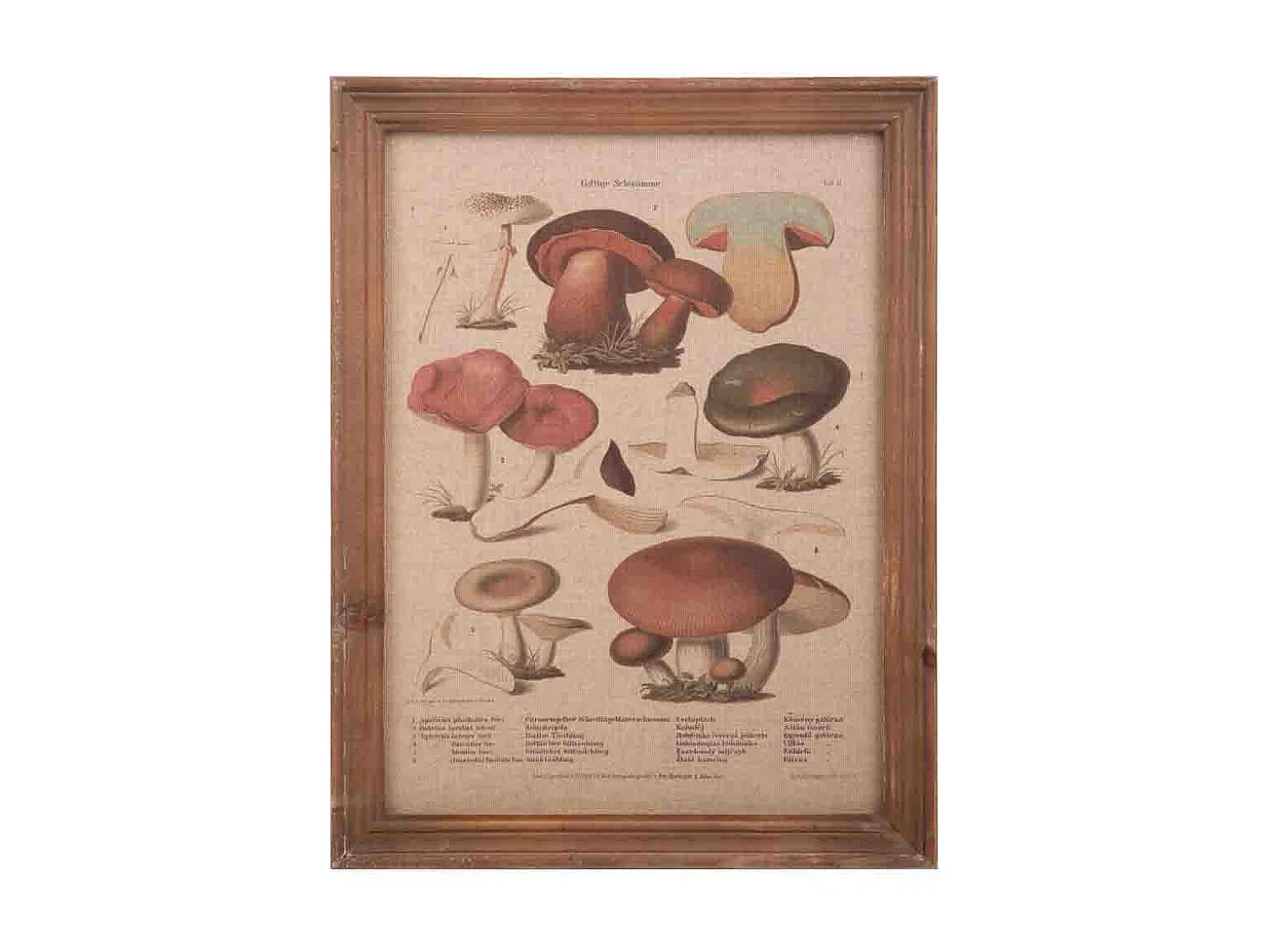 Cuadro madera y tela 33x43x1,8