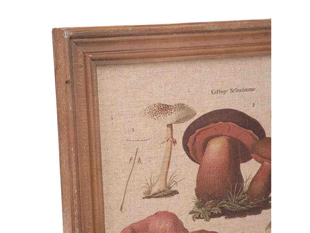 Cuadro madera y tela 33x43x1,8