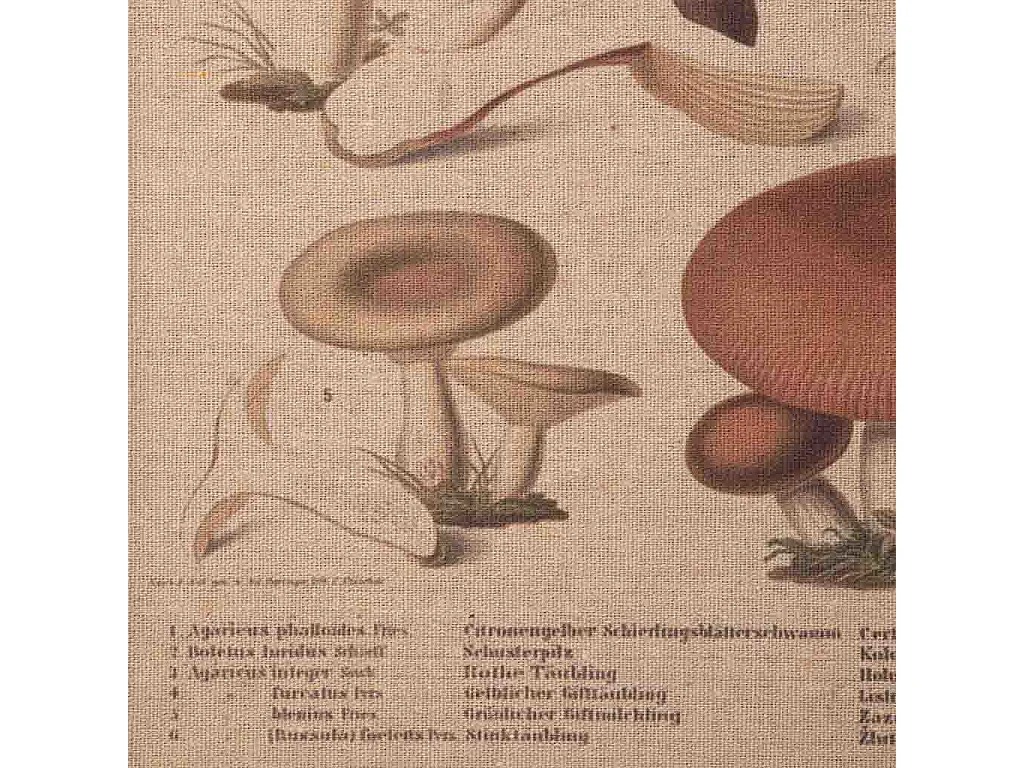 Cadre en bois et tissu