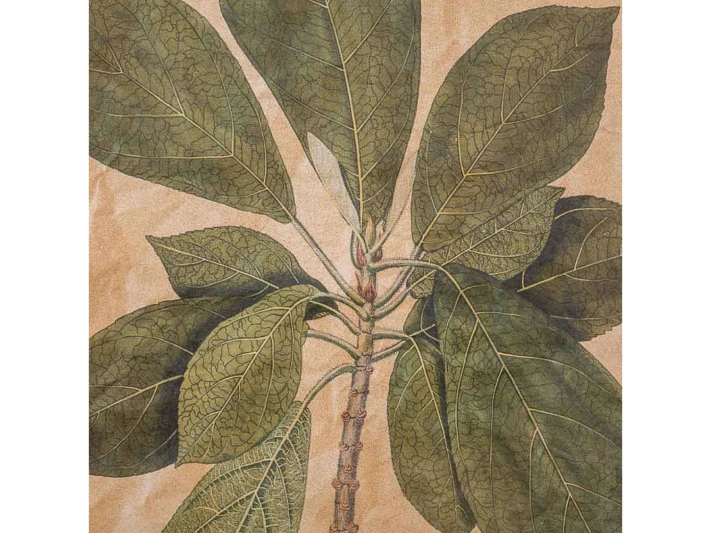 Lienzo pergamino de tela impresa 44x73x2,5