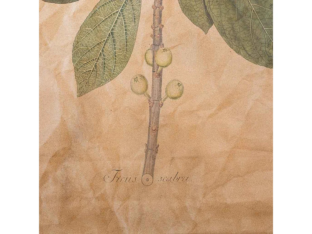 Lienzo pergamino de tela impresa 44x73x2,5