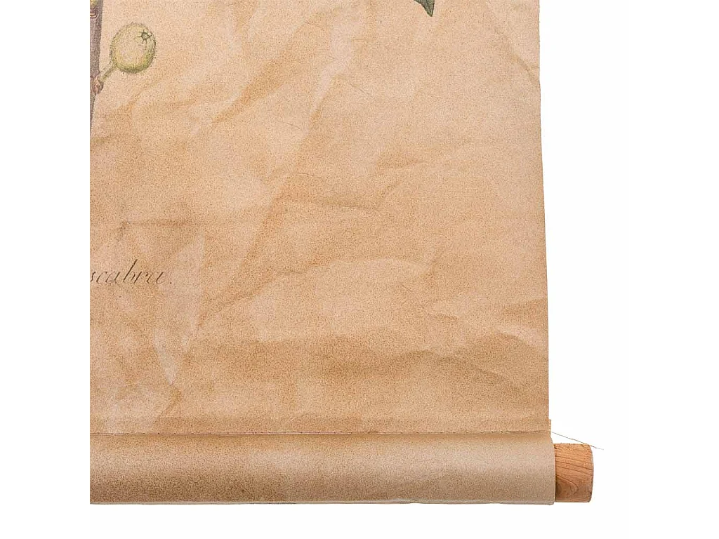 Lienzo pergamino de tela impresa 44x73x2,5