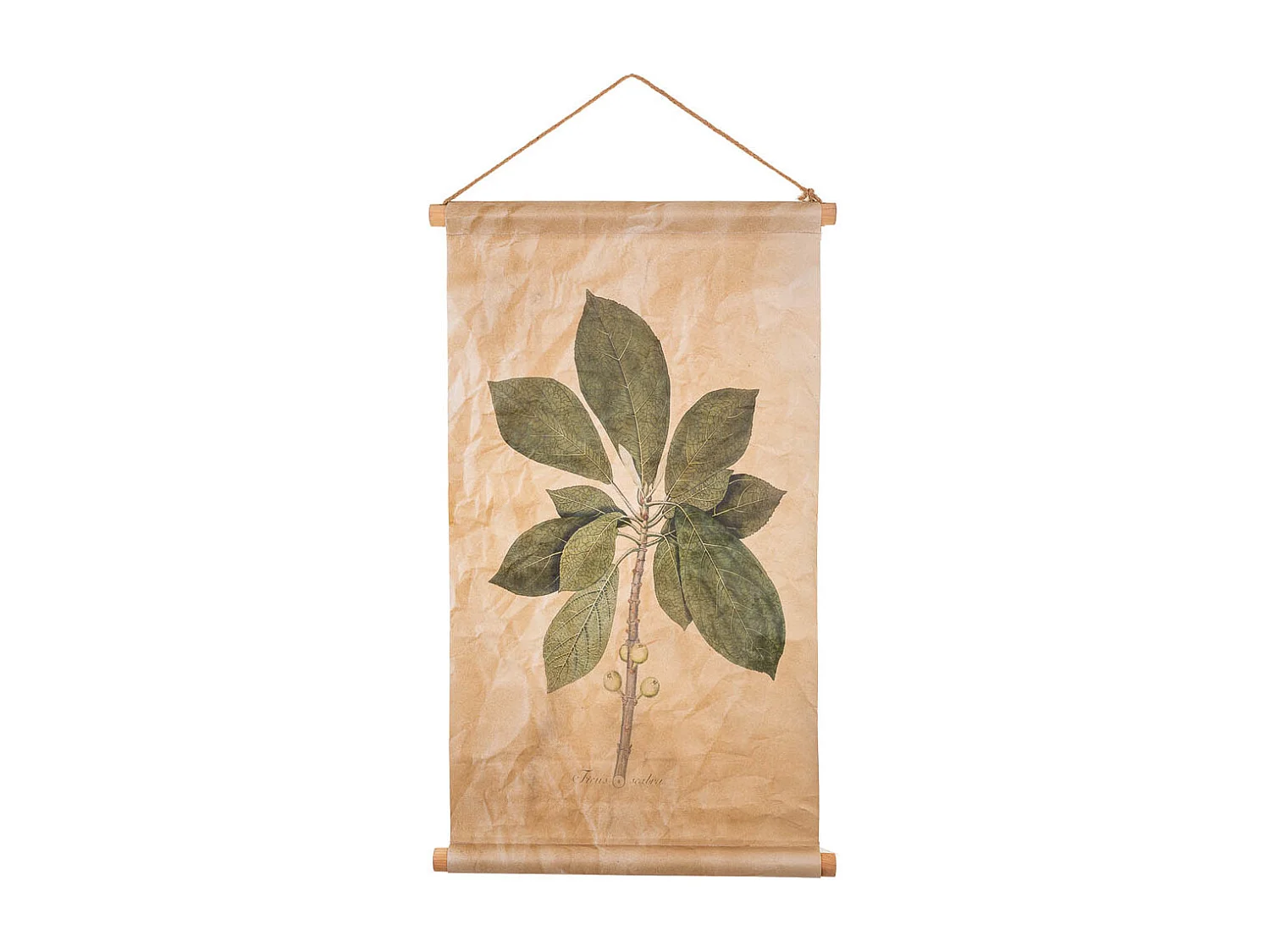 Lienzo pergamino de tela impresa 44x73x2,5