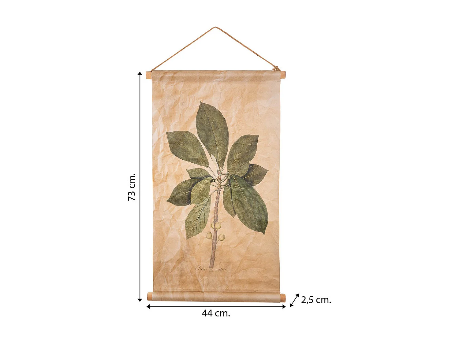 Lienzo pergamino de tela impresa 44x73x2,5