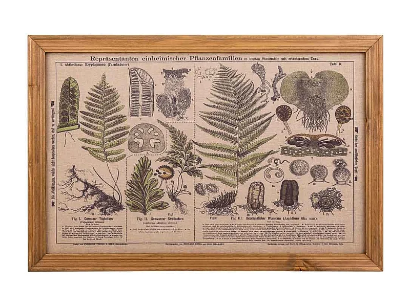 Quadro de madeira e tecido impresso