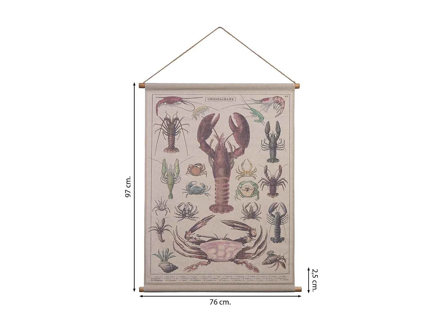 Liezo pergamino de tela impresa 76x97x2,5