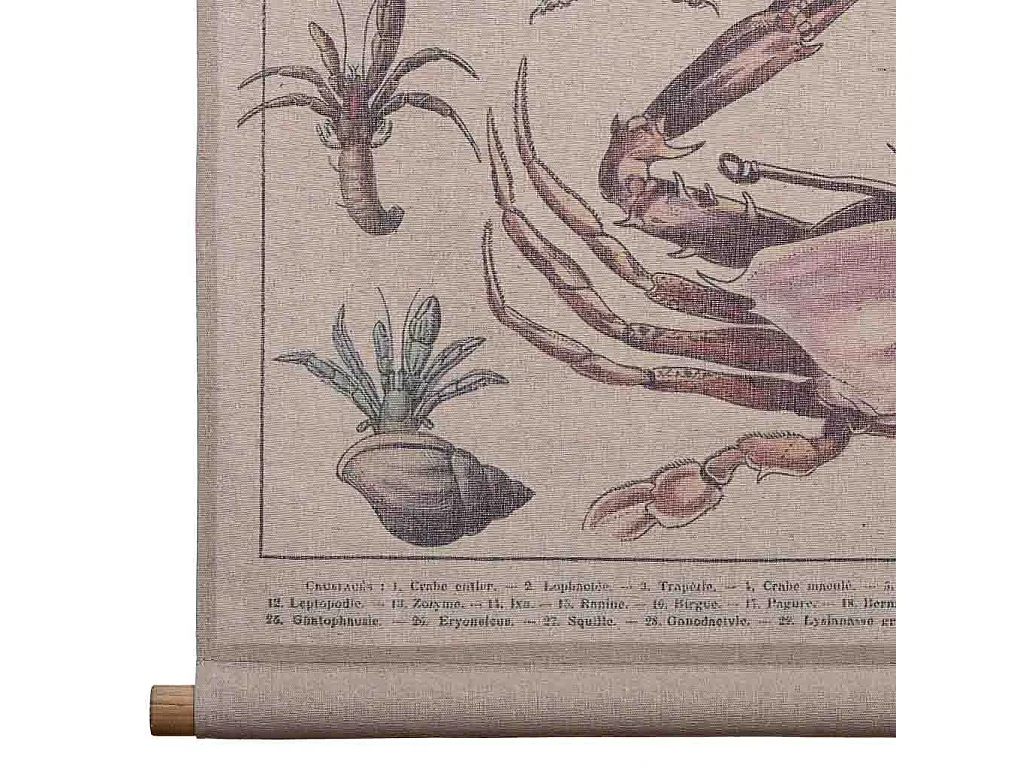 Liezo pergamino de tela impresa 76x97x2,5