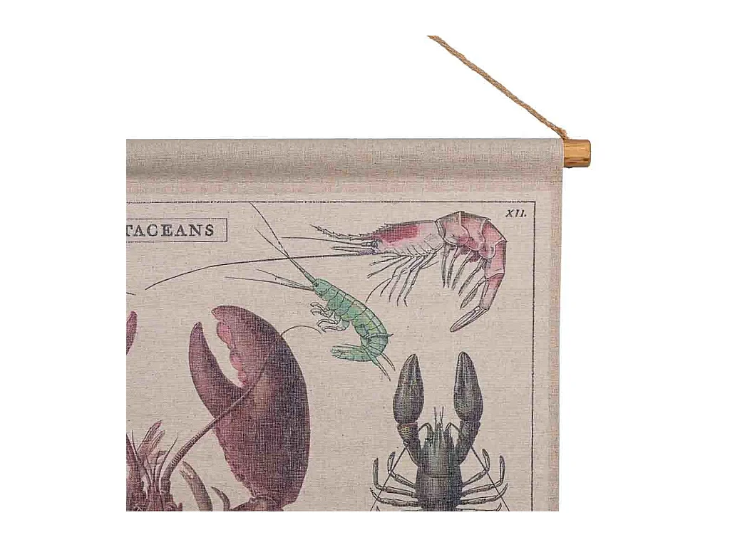 Toile imprimée en parchemin