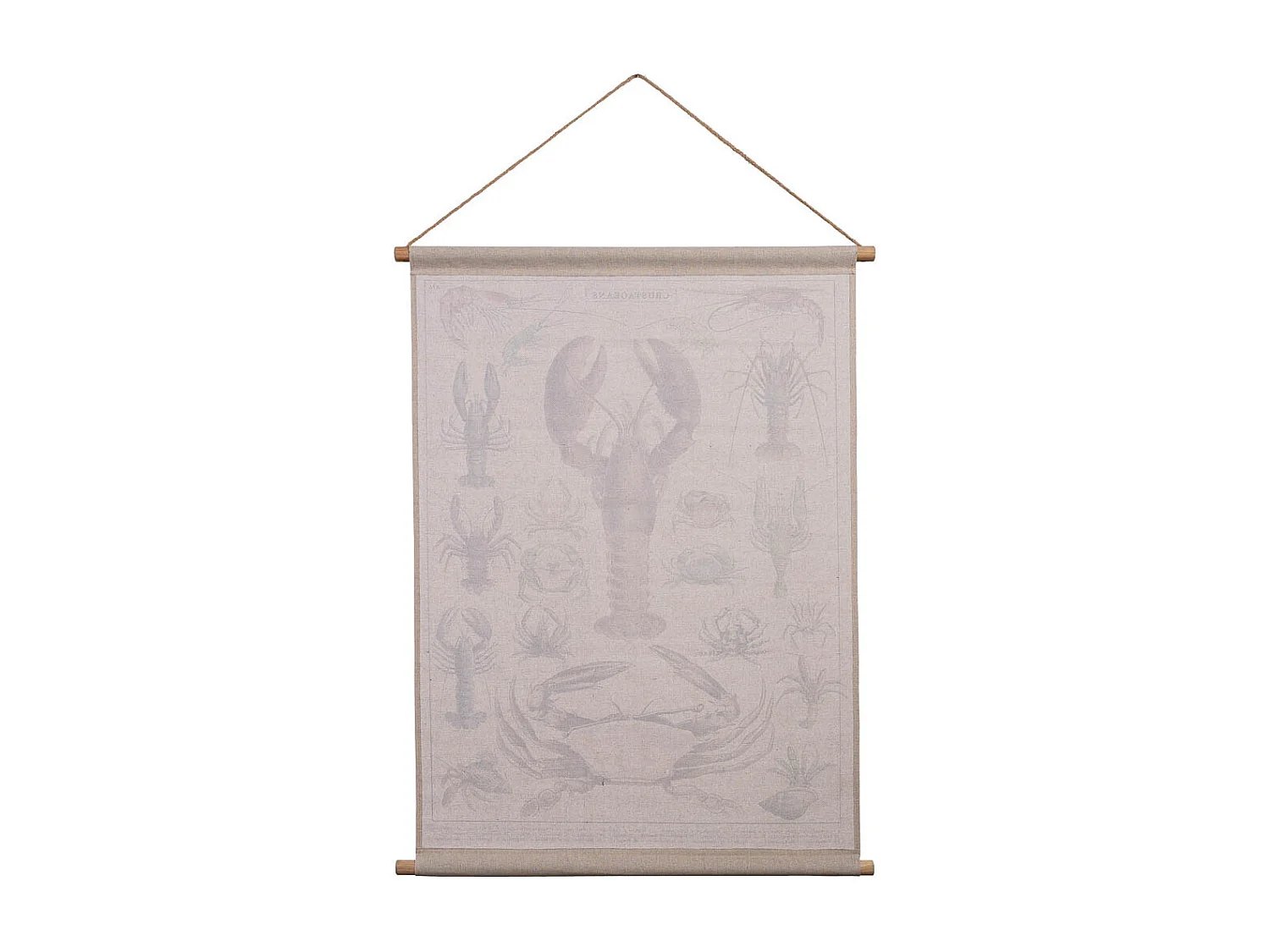 Tela stampata in pergamena