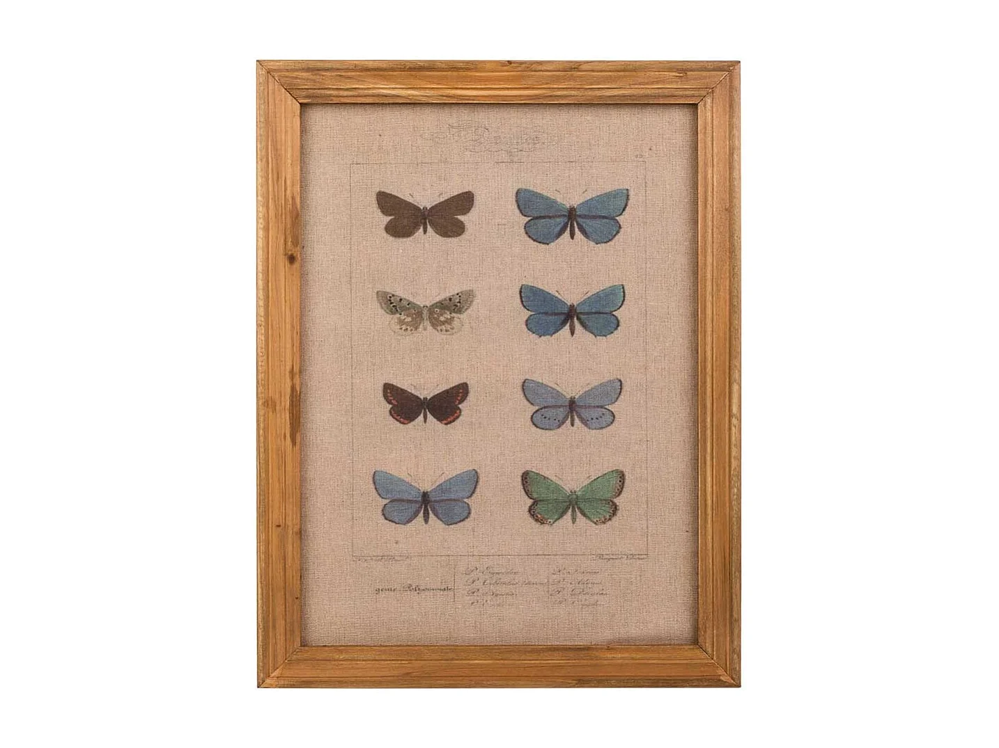 Quadro de madeira e tecido impresso