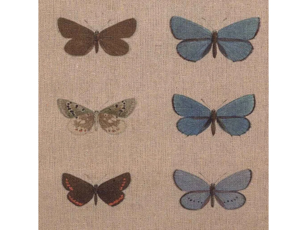 Quadro de madeira e tecido impresso