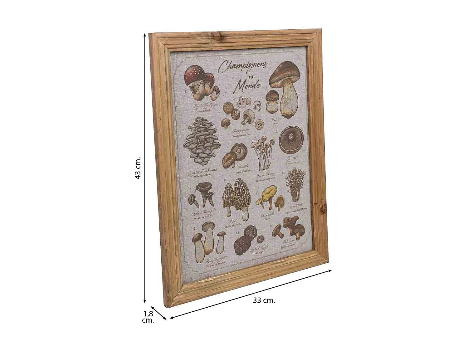 Quadro in tela stampata con cornice in legno, 33x43x1,8